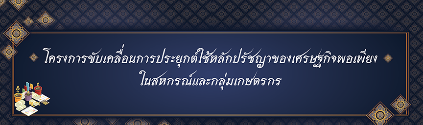 web baner porpeng