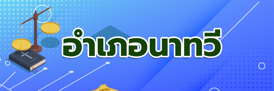 icon web6