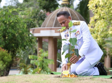 ร่วมพิธีปลูก “พระศรีมหาโพธิทศมราชบพิตร” พารามิเตอร์รูปภาพ 1