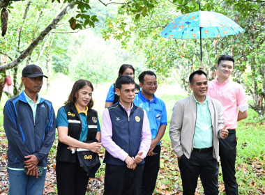 ลงพื้นที่จังหวัดสตูล ... พารามิเตอร์รูปภาพ 4