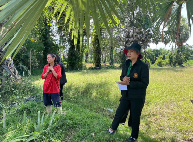 เข้าร่วมสังเกตการณ์ลงพื้นที่ตรวจประเมินแปลงสมาชิกยื่นขอใบรับรองมาตรฐานตามหลักปฏิบัติทางการเกษตรที่ดี(GAP)สหกรณ์การเกษตรสทิงพระ จำกัด ... พารามิเตอร์รูปภาพ 1