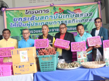 กระจายลำไยภาคเหนือตามโครงการ ... พารามิเตอร์รูปภาพ 1