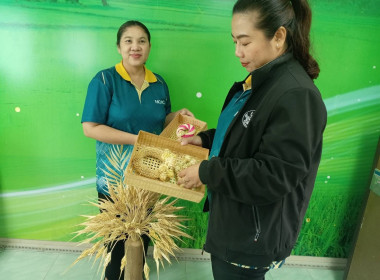 ติดตามการดำเนินงานโครงการส่งเสริมและพัฒนาผลิตภัณฑ์ชุมชน ปี ... พารามิเตอร์รูปภาพ 1