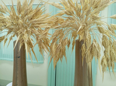 ติดตามการดำเนินงานโครงการส่งเสริมและพัฒนาผลิตภัณฑ์ชุมชน ปี ... พารามิเตอร์รูปภาพ 3