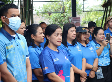 โครงการปลูกป่า และบำรุงรักษาป่าเฉลิมพระเกียรติ พารามิเตอร์รูปภาพ 6