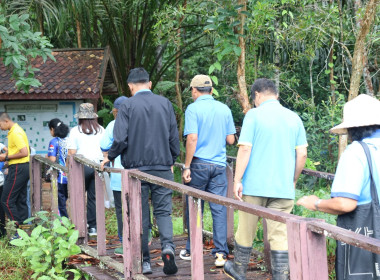 โครงการปลูกป่า และบำรุงรักษาป่าเฉลิมพระเกียรติ พารามิเตอร์รูปภาพ 14
