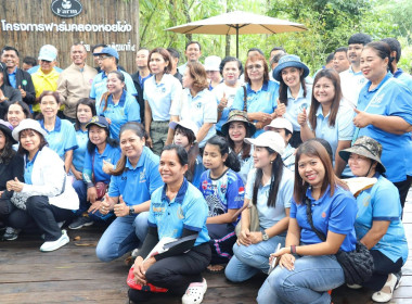 โครงการปลูกป่า และบำรุงรักษาป่าเฉลิมพระเกียรติ พารามิเตอร์รูปภาพ 12