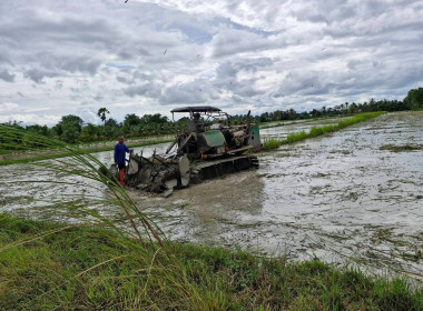 ติดตามการดำเนินงานกลุ่มแปลงใหญ่สหกรณ์การเกษตรระโนด จำกัด ... พารามิเตอร์รูปภาพ 5