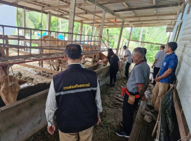 ติดตามการดำเนินงานกลุ่มแปลงใหญ่สหกรณ์การเกษตรระโนด จำกัด ... พารามิเตอร์รูปภาพ 4