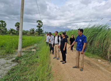 ติดตามการดำเนินงานกลุ่มแปลงใหญ่สหกรณ์การเกษตรระโนด จำกัด ... พารามิเตอร์รูปภาพ 3