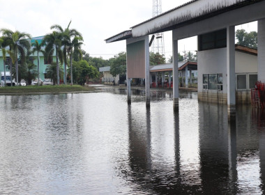 ลงพื้นที่ตรวจเยี่ยมสหกรณ์ที่ได้รับผลกระทบจากอุทกภัยปี 2568 ... พารามิเตอร์รูปภาพ 14