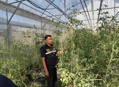 ลงพื้นที่ตรวจเยี่ยมติดตามผลการดำเนินงาน พารามิเตอร์รูปภาพ 4