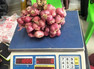 ประชาสัมพันธ์จำหน่ายหอมแดงศรีสระเก พารามิเตอร์รูปภาพ 2