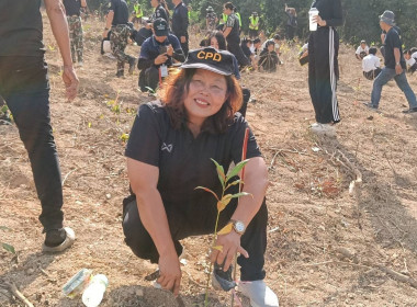 เข้าร่วมกิจกรรมปลูกและบำรุงรักษาต้นไม้ ... พารามิเตอร์รูปภาพ 6