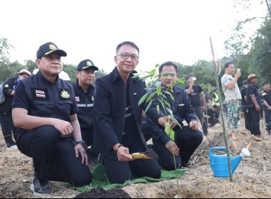 เข้าร่วมกิจกรรมปลูกและบำรุงรักษาต้นไม้ ... พารามิเตอร์รูปภาพ 3