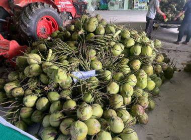 ลงพื้นที่รวบรวมผลผลิตจากสมาชิก ติดตามสถานการณ์ ... พารามิเตอร์รูปภาพ 3