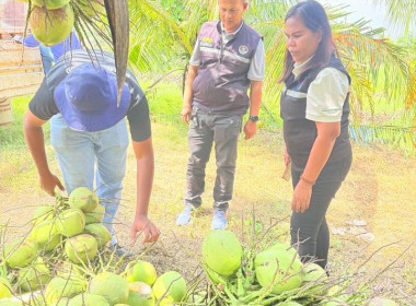 ลงพื้นที่รวบรวมผลผลิตจากสมาชิก ติดตามสถานการณ์ ... พารามิเตอร์รูปภาพ 1