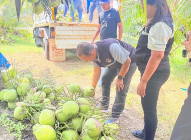 ลงพื้นที่รวบรวมผลผลิตจากสมาชิก ติดตามสถานการณ์ ... พารามิเตอร์รูปภาพ 3