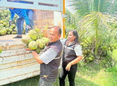 ลงพื้นที่รวบรวมผลผลิตจากสมาชิก ติดตามสถานการณ์ ... พารามิเตอร์รูปภาพ 2