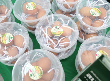 โครงการคลินิกเกษตรเคลื่อนที่ในพระราชานุเคราะห์ ... พารามิเตอร์รูปภาพ 8