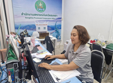 เข้าร่วมประชุมชี้แจงการสำรวจข้อมูล (ปุ๋ยเคมี ปุ๋ยอินทรีย์ ... พารามิเตอร์รูปภาพ 2