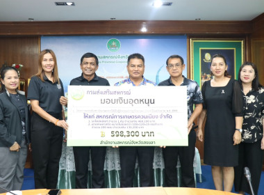 มอบเงินอุดหนุน ... พารามิเตอร์รูปภาพ 1