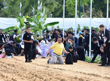 พระราชพิธีพืชมงคลจรดพระนังคัลแรกนาขวัญ ปีพุทธศักราช 2569 พารามิเตอร์รูปภาพ 10
