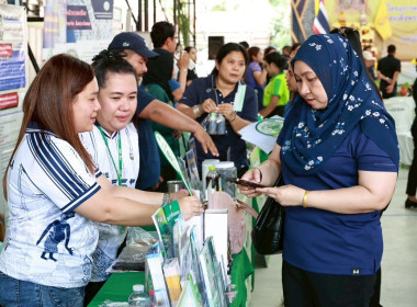 โครงการคลินิกเกษตรเคลื่อนที่ในพระราชานุเคราะห์ ... พารามิเตอร์รูปภาพ 15