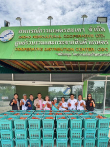 รวบรวมผลผลิตสละสุมาลีจากสมาชิกสหกรณ์การเกษตรสะเดา จำกัด พารามิเตอร์รูปภาพ 1