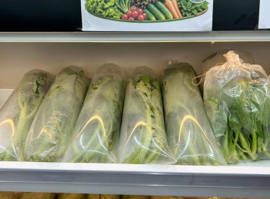 พิธีเปิดร้าน “เลม่อน กรีน” สหกรณ์การเกษตรจะนะ จำกัด พารามิเตอร์รูปภาพ 7