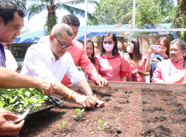 รองอธิบดีกรมส่งเสริมสหกรณ์ ลงพื้นที่ตรวจราชการในจังหวัดสงขลา พารามิเตอร์รูปภาพ 7