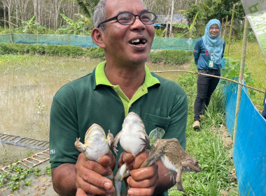 เข้าร่วมพิจารณาคัดเลือกการประกวดศูนย์เรียนรู้การเพิ่มประสิทธิภาพการผลิตสินค้าเกษตร (ศพก.) ... พารามิเตอร์รูปภาพ 5