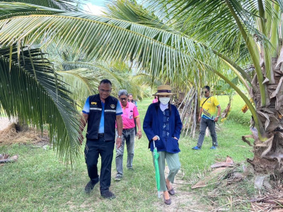 ตรวจเยี่ยมศูนย์เรียนรู้เศรษฐกิจพอเพียงการปลูกพืชผสมผสานตามรอยพ่อ ร.9 ... พารามิเตอร์รูปภาพ 1