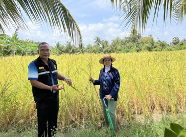 ตรวจเยี่ยมศูนย์เรียนรู้เศรษฐกิจพอเพียงการปลูกพืชผสมผสานตามรอยพ่อ ร.9 ... พารามิเตอร์รูปภาพ 3