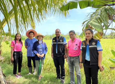 ตรวจเยี่ยมศูนย์เรียนรู้เศรษฐกิจพอเพียงการปลูกพืชผสมผสานตามรอยพ่อ ร.9 ... พารามิเตอร์รูปภาพ 4