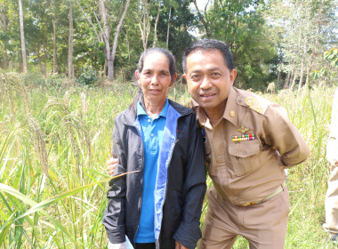 พิธีมอบโล่รางวัลโครงการประกวดผลงานการขับเคลื่อนปรัชญาของเศรษฐกิจพอเพียง ... พารามิเตอร์รูปภาพ 8