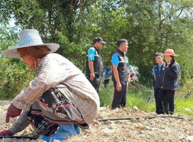 ลงพื้นที่ตรวจเยี่ยมผลดำเนินงานของสหกรณ์การเกษตรสทิงพระ จำกัด พารามิเตอร์รูปภาพ 2