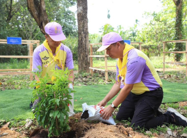 ร่วมกิจกรรมจิตอาสาพัฒนา ถวายพระราชกุศล ... พารามิเตอร์รูปภาพ 3