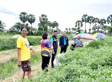 ลงพื้นที่ติดตามผลการดำเนินงานสหกรณ์การเกษตรกระแสสินธุ์ จำกัด พารามิเตอร์รูปภาพ 3