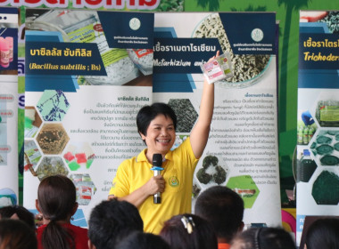 โครงการส่งเสริมการใช้สารอินทรีย์แทนการใช้สารเคมี ... พารามิเตอร์รูปภาพ 8