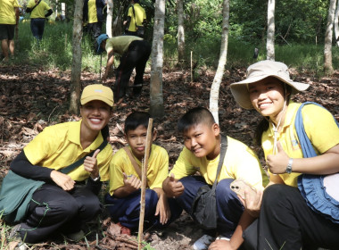 กิจกรรมปลูกป่าเฉลิมพระเกียรติเพื่อถวายแด่พระบาทสมเด็จพระปรเมนทรรามาธิบดีศรีสินทรมหาวชิราลงกรณ พระวชิรเกล้าเจ้าอยู่หัว เนื่องในโอกาสเฉลิมพระชนมพรรษา 6 รอบ 28 กรกฎาคม 2567 ... พารามิเตอร์รูปภาพ 47