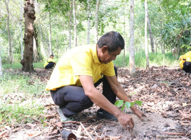 กิจกรรมปลูกป่าเฉลิมพระเกียรติเพื่อถวายแด่พระบาทสมเด็จพระปรเมนทรรามาธิบดีศรีสินทรมหาวชิราลงกรณ พระวชิรเกล้าเจ้าอยู่หัว เนื่องในโอกาสเฉลิมพระชนมพรรษา 6 รอบ 28 กรกฎาคม 2567 ... พารามิเตอร์รูปภาพ 33