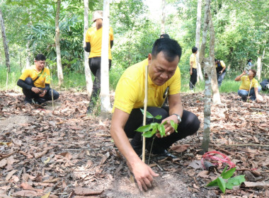 กิจกรรมปลูกป่าเฉลิมพระเกียรติเพื่อถวายแด่พระบาทสมเด็จพระปรเมนทรรามาธิบดีศรีสินทรมหาวชิราลงกรณ พระวชิรเกล้าเจ้าอยู่หัว เนื่องในโอกาสเฉลิมพระชนมพรรษา 6 รอบ 28 กรกฎาคม 2567 ... พารามิเตอร์รูปภาพ 37