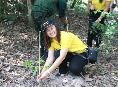 กิจกรรมปลูกป่าเฉลิมพระเกียรติเพื่อถวายแด่พระบาทสมเด็จพระปรเมนทรรามาธิบดีศรีสินทรมหาวชิราลงกรณ พระวชิรเกล้าเจ้าอยู่หัว เนื่องในโอกาสเฉลิมพระชนมพรรษา 6 รอบ 28 กรกฎาคม 2567 ... พารามิเตอร์รูปภาพ 56