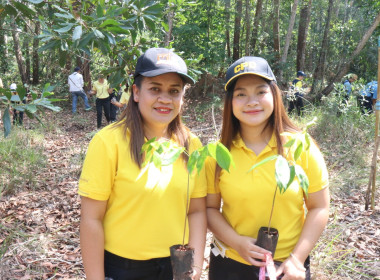 กิจกรรมปลูกป่าเฉลิมพระเกียรติเพื่อถวายแด่พระบาทสมเด็จพระปรเมนทรรามาธิบดีศรีสินทรมหาวชิราลงกรณ พระวชิรเกล้าเจ้าอยู่หัว เนื่องในโอกาสเฉลิมพระชนมพรรษา 6 รอบ 28 กรกฎาคม 2567 ... พารามิเตอร์รูปภาพ 55