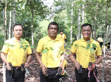 กิจกรรมปลูกป่าเฉลิมพระเกียรติเพื่อถวายแด่พระบาทสมเด็จพระปรเมนทรรามาธิบดีศรีสินทรมหาวชิราลงกรณ พระวชิรเกล้าเจ้าอยู่หัว เนื่องในโอกาสเฉลิมพระชนมพรรษา 6 รอบ 28 กรกฎาคม 2567 ... พารามิเตอร์รูปภาพ 30