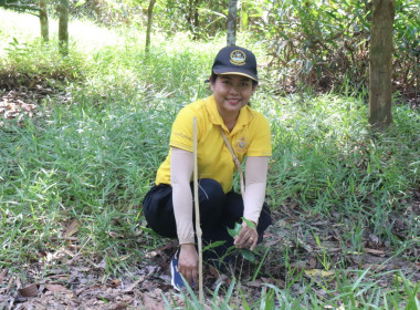 กิจกรรมปลูกป่าเฉลิมพระเกียรติเพื่อถวายแด่พระบาทสมเด็จพระปรเมนทรรามาธิบดีศรีสินทรมหาวชิราลงกรณ พระวชิรเกล้าเจ้าอยู่หัว เนื่องในโอกาสเฉลิมพระชนมพรรษา 6 รอบ 28 กรกฎาคม 2567 ... พารามิเตอร์รูปภาพ 44