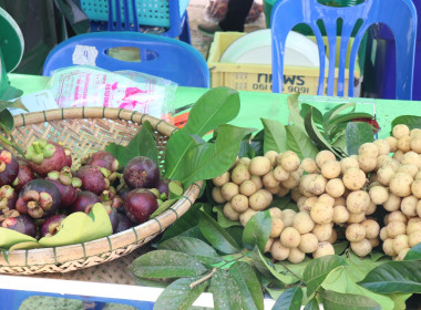 โครงการตลาดเกษตรสีเขียว (Green Market) สหกรณ์การเกษตรสะเดา ... พารามิเตอร์รูปภาพ 27