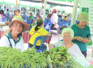 โครงการตลาดเกษตรสีเขียว (Green Market) สหกรณ์การเกษตรสะเดา ... พารามิเตอร์รูปภาพ 23