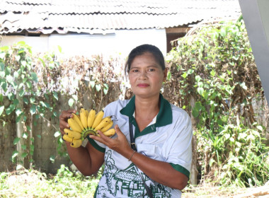 โครงการตลาดเกษตรสีเขียว (Green Market) สหกรณ์การเกษตรสะเดา ... พารามิเตอร์รูปภาพ 26